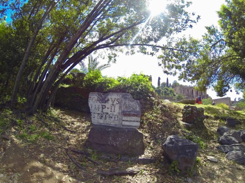 Rome: Roman Forum & Palatine Hill Tour - Post-Tour Flexibility and Additional Time