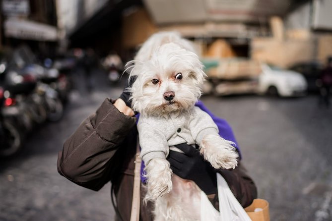 Rome Street Photography Lesson - Practicalities of the Tour: Meeting Point and Accessibility