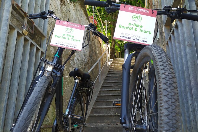 Rome Tiber cycle path: Electric & Muscle Rental Bike - Family and Group Friendly Experience