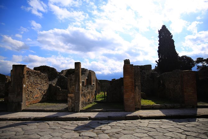 Rome to Pompeii & Herculaneum Trip with Hotel Pickup & Skip-the-line Tickets - In-Depth Commentary from an Art Historian Guide