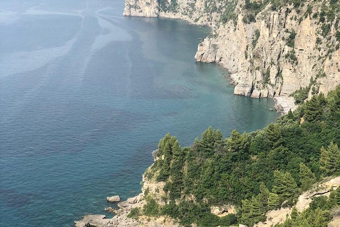 Rome to Pompeii & Positano Day Trip with Hotel Pick Up & Skip The Line Tickets - The Guide and Transportation Experience