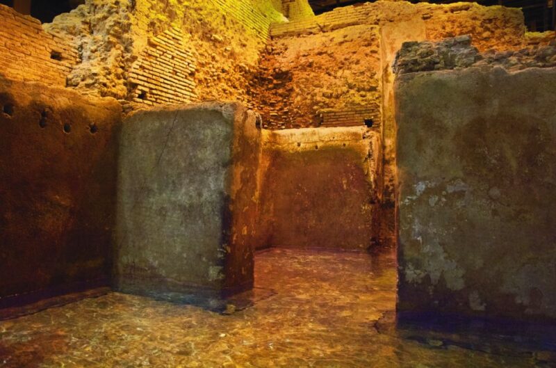 Rome: Trevi Fountain Undergound Domus Guided Tour - Value for Money and Overall Experience