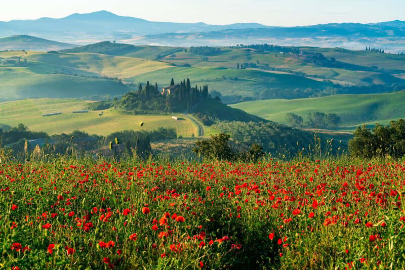 Rome: Tuscany & Montepulciano Day Trip with Lunch & Wines - The Role of the Guides and Group Size