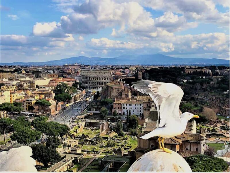 Rome: Vatican, Colosseum & Main Squares Tour w/ Lunch & Car - Exploring Rome’s Famous Squares and Architectural Marvels