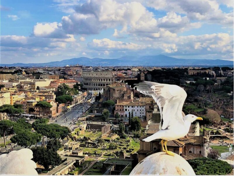 Rome: Vatican, Colosseum & Main Squares Tour w/ Lunch & Car - Value and Overall Experience