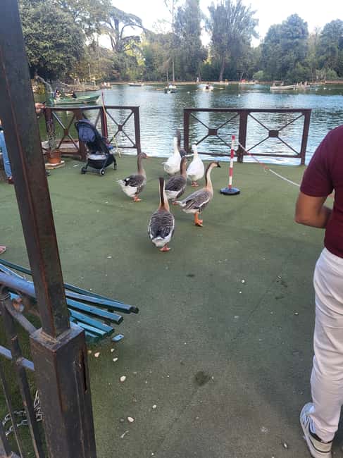 Rome: Villa Borghese Lake Tour by boat, rowing independently + golf cart - Key Points