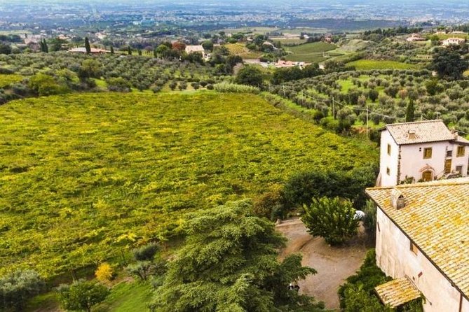 Rome: Wine Tour & Pizza Making Class in a Frascati's vineyard - 5 hours - Mastering Roman Pizza with a Professional Chef