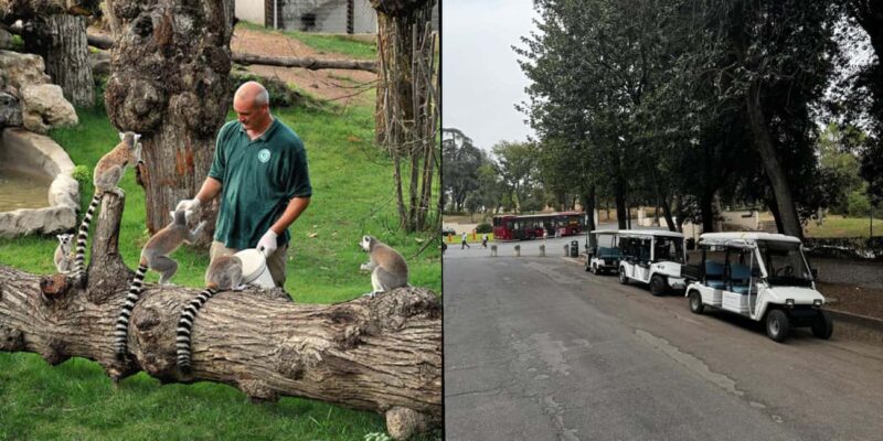 Rome: Zoo entry ticket + Villa Borghese Golf Cart Tour - Villa Borghese: Rome’s Artistic Garden in Brief