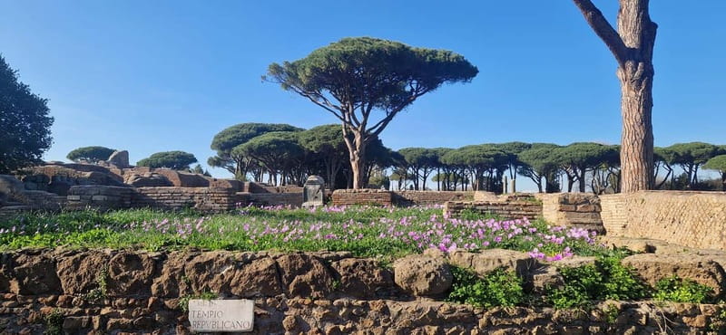 Rome:Ostia Antica Skip-the-line Ticket & Audioguide - The Sum Up: A Flexible and Authentic Visit to Ostia Antica