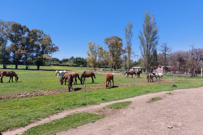 Rome's Ultimate Bike Tour - Highlights of the Stops and What You’ll See