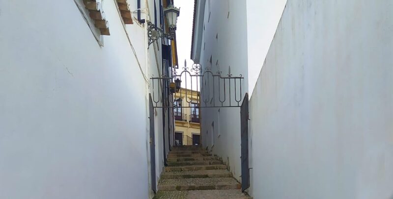 Ronda and Setenil Tour with Free Time from Málaga - The Sum Up: A Well-Organized Day of Culture and Scenery