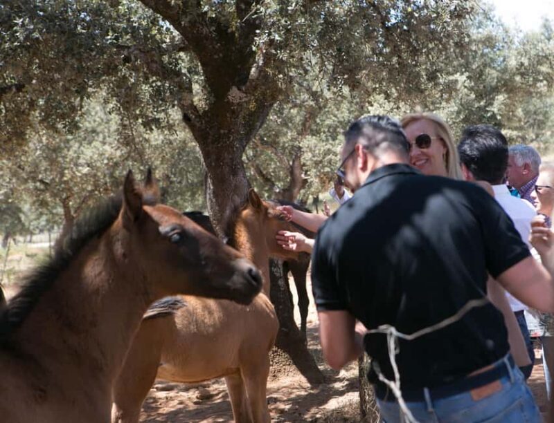 Ronda: Entrance to Reservatauro Ronda - What to Expect During the Visit to Reservatauro Ronda