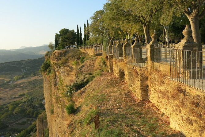 Ronda Nature and Scenic Private Hiking Tour - What Sets This Tour Apart from Similar Ronda Experiences