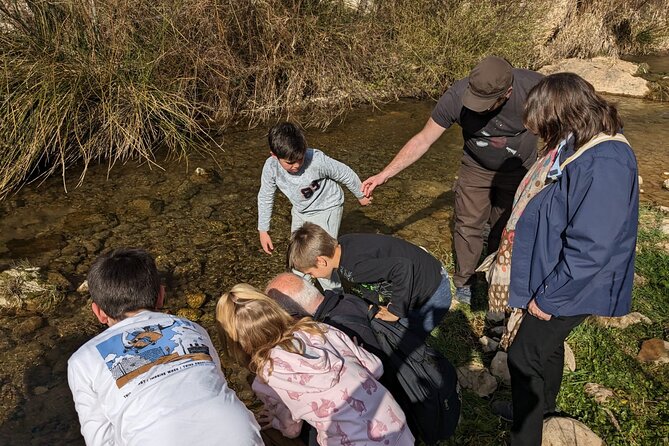 Ronda Nature and Scenic Private Hiking Tour - Final Thoughts on the Ronda Private Hiking Tour