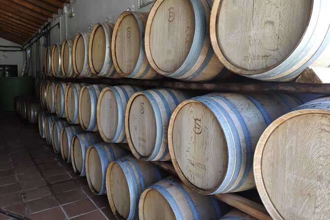 Ronda Organic Wine Tour from Marbella - Key Points