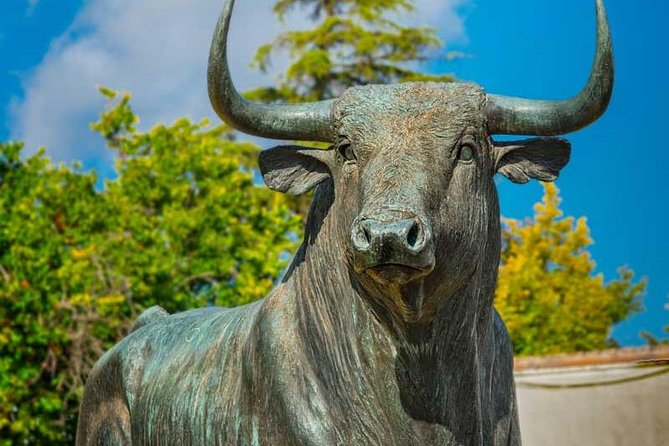 Ronda Private Day Trip from Malaga - Free Time for Lunch and Shopping in Ronda