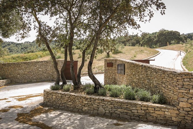 Ronda Private Full Day Wine Tour - Expert-Guided Vineyard Tour and Wine Tasting Experience