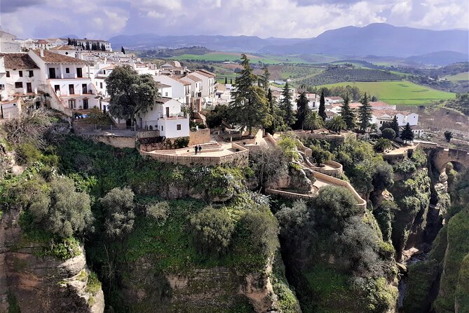 Ronda private walking tour by Tours in Malaga - Guide Expertise and Visitor Experience