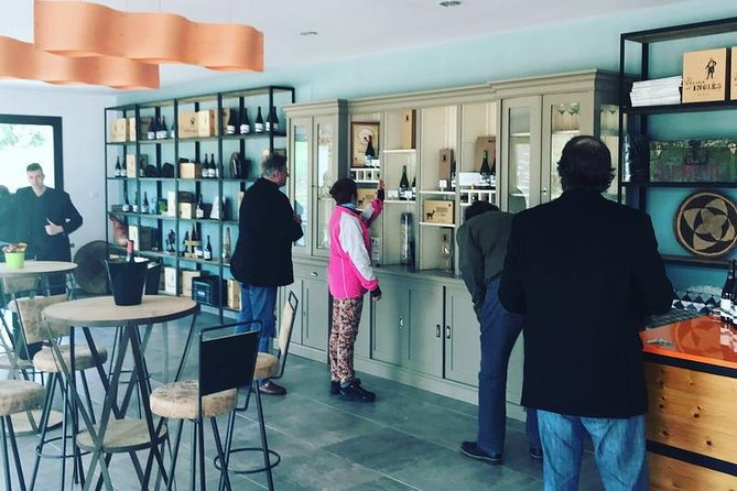 Ronda Private Wine Tour and Tapas from Marbella - Inside the Barrel Room: Discovering the Winemaking Process