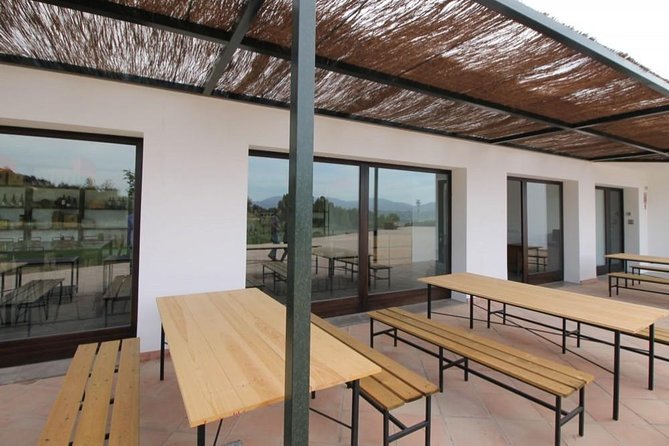 Ronda Private Wine Tour + Free Time in Ronda - Scenic Drive Back from Ronda to Málaga