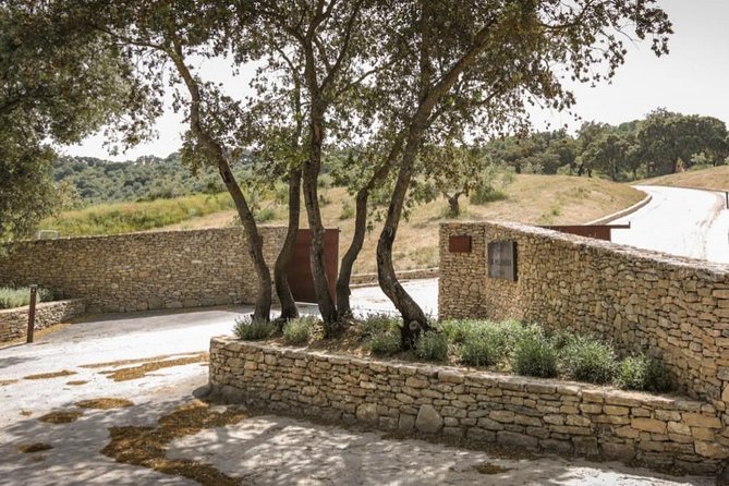 Ronda Private Wine Tour + Free Time in Ronda - Practical Details: Logistics, Inclusions, and Considerations