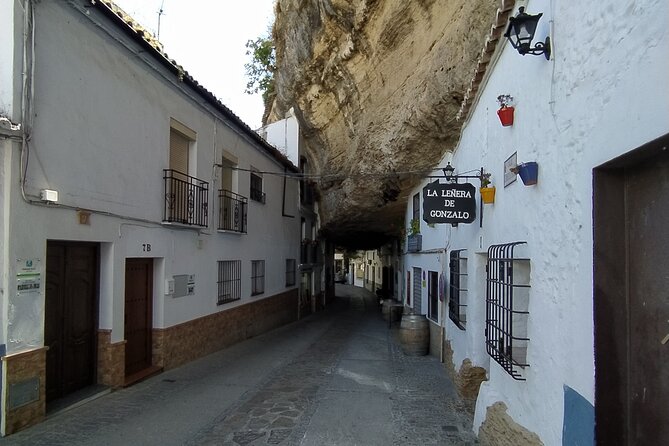 Ronda & Setenil de las Bodegas, land of contrasts / Semi-Private - From Malaga to the Towns of Land of Contrasts