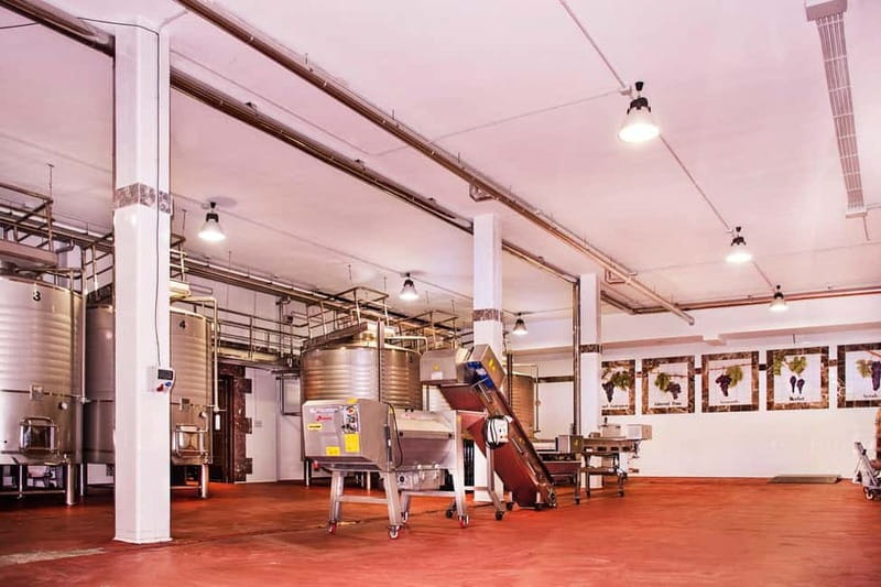 Ronda: Winery Tour with Wine Tasting and Tapas - Tasting Four Hand-Selected Ronda Wines