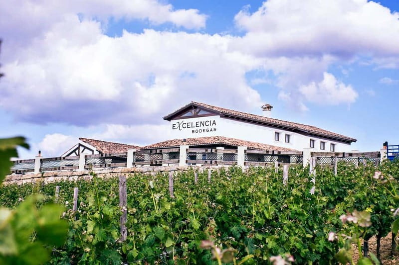 Ronda: Winery Tour with Wine Tasting and Tapas - The Passion of Ronda’s Winemakers