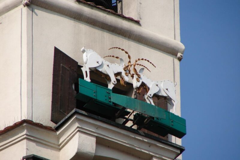 Roots of Pozna - Booking Flexibility and Cancellation Policy