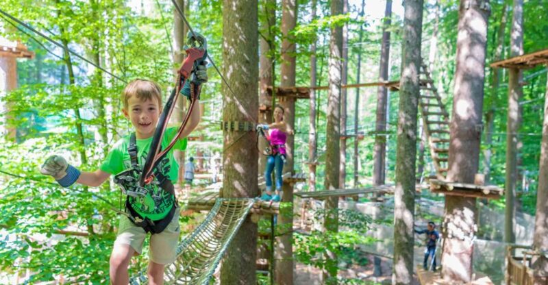 Rope Park Interlaken: Climbing Adventure with Entry Ticket - Key Points