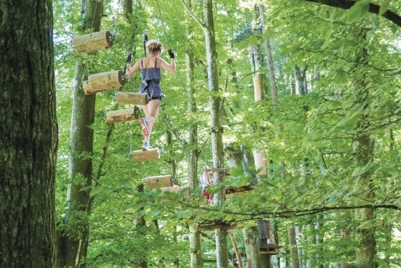Rope Park Interlaken: Climbing Adventure with Entry Ticket - What Kids and Adults Can Expect