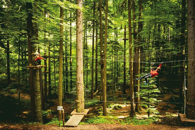 Ropes Park Interlaken - Over 100 Challenges in Forest and Canopy Settings