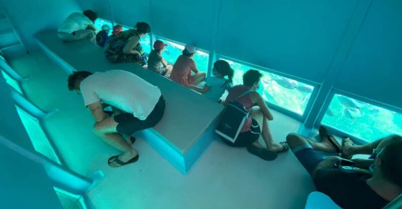 Roses: Costa Brava Catamaran Trip with Underwater Views - The Route from Roses to Cala Jóncols