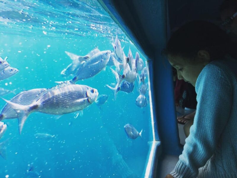 Roses: Costa Brava Catamaran Trip with Underwater Views - Underwater Views and Marine Life