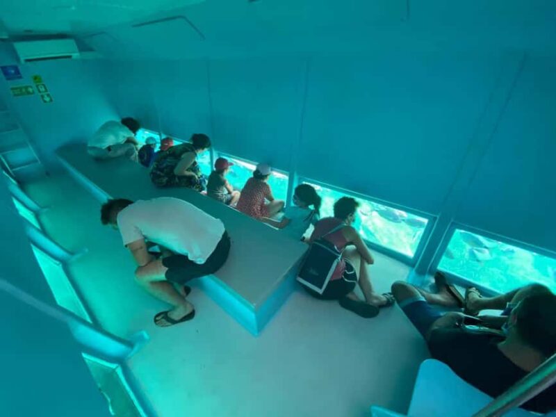 Roses: Cruise to Cala Murtra with Underwater Views - Booking Options and Practical Details