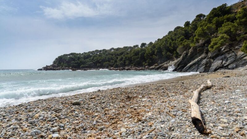 Roses: Cruise to Cala Murtra with Underwater Views - Els Blaus de Roses: The Tour Operator