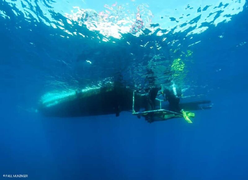 Roses: PADI Discover Scuba Diving Experience - Key Points