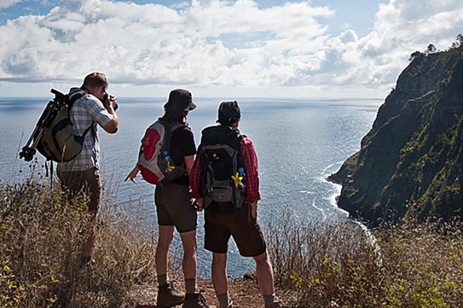 Rota do Norte (Larano) Northern Route (Full Day Walk) - Explore Madeira’s Northeast Coast with the Rota do Norte (Larano) Full Day Walk