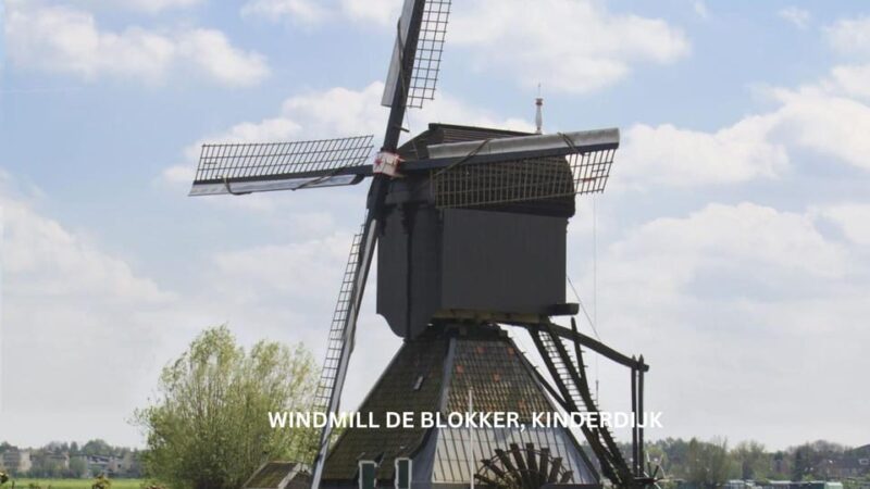 Rotterdam and Kinderdijk Daily Walking and Boat Tour - Authentic Experience with Knowledgeable Guidance