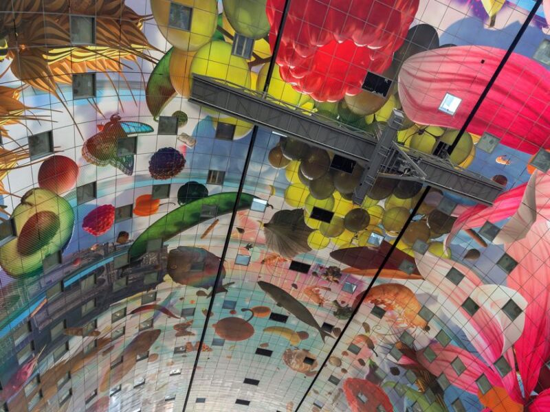 Rotterdam: Architecture Highlights Tour including the Depot - Rooftop Experiences and City Views