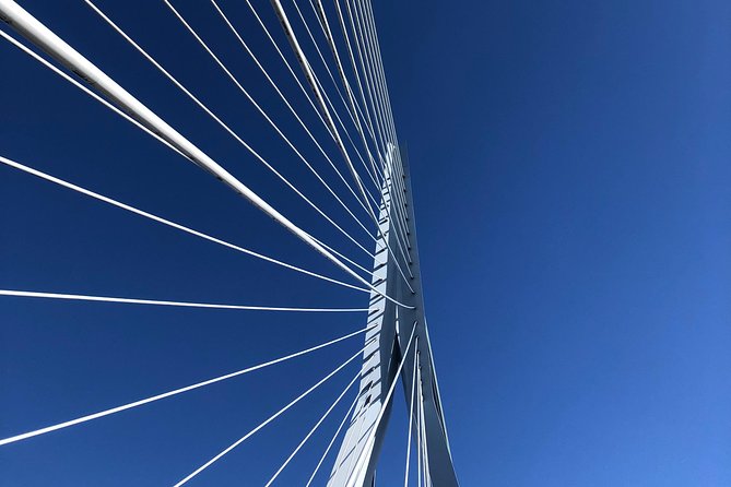 Rotterdam Architecture Highlights Walking Tour - The Iconic Timmerhuis Designed by OMA