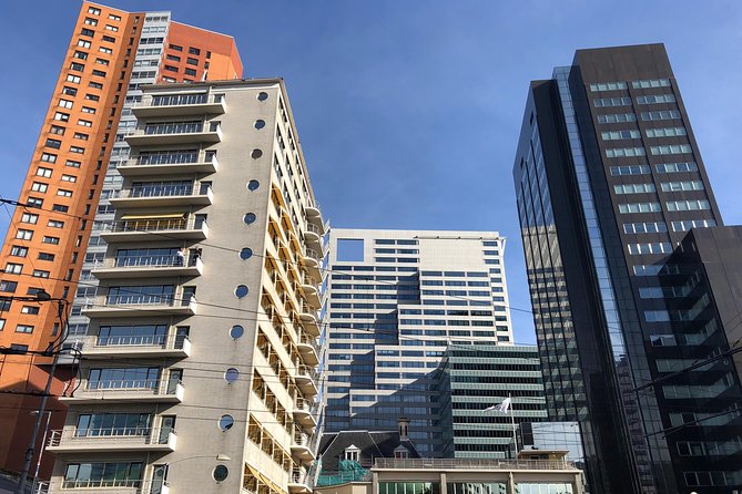 Rotterdam Architecture Highlights Walking Tour - Exploring the Marvel of the Markthal