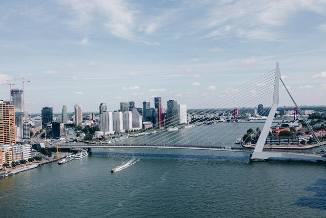 Rotterdam: Art, History and Architecture Self-Guided Audio Tour - The Iconic Erasmus Bridge, Known as "The Swan"