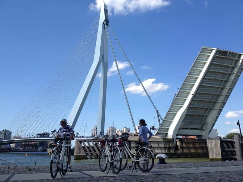 Rotterdam: City Highlights Guided Bike Tour - Why This Tour Stands Out in Rotterdam