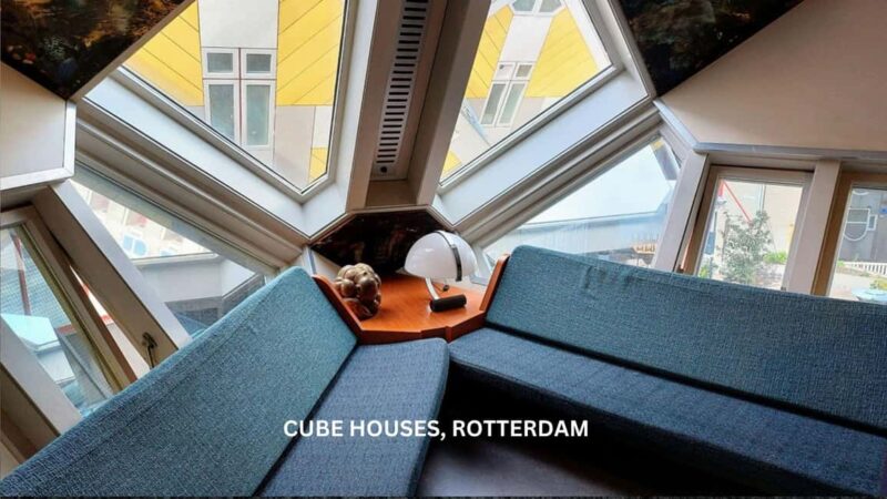 Rotterdam countryside on wheels - bike tour around city - Wildlife Encounters and Nature Sounds