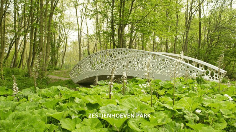 Rotterdam countryside on wheels - bike tour around city - Practical Details: Meeting Points and Group Sizes