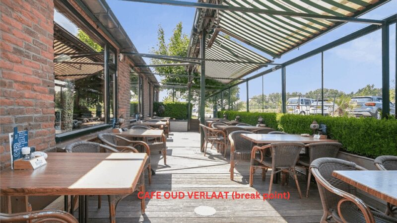 Rotterdam countryside on wheels - bike tour around city - Physical Requirements and Suitability