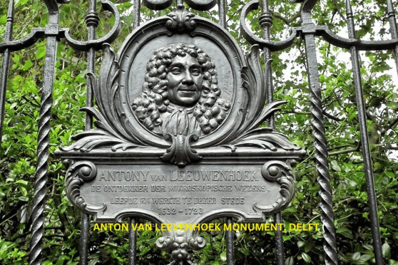 Rotterdam & Delft Daily Walking Tour - Key Points