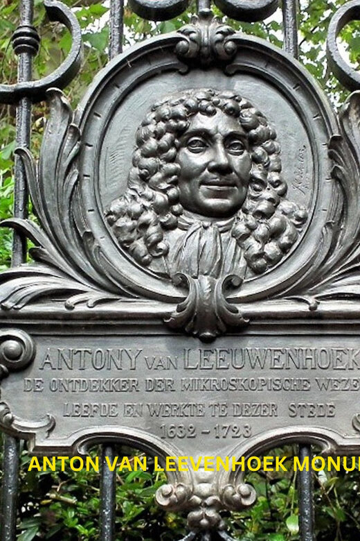 Rotterdam & Delft Daily Walking Tour - Unique Experiences at Dutch Sea Level and Pottery Techniques