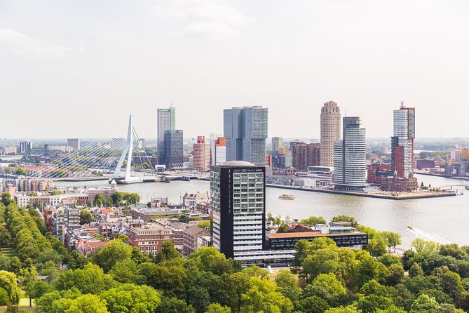 Rotterdam, Delft, the Hague, Madurodam from Amsterdam - The Tour’s Value and Practicalities